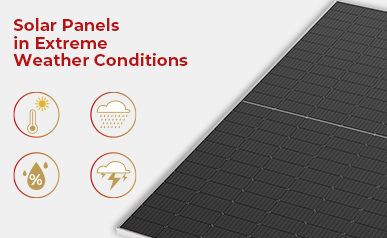 Des gouttes de pluie aux rayons : découvrir comment les panneaux solaires s'adaptent aux conditions météorologiques en constante évolution